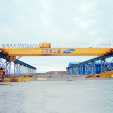 WEIHUA Double Girder Overhead Crane with Electric Hoist